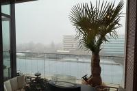 Zase jeden výhled z okna